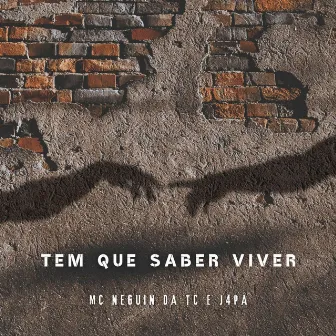 Tem que saber viver by MC Neguin da TC