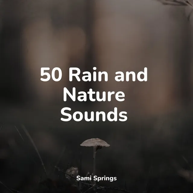 50 Winter Rain Sounds for Sleep and Serenity