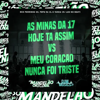 As Minas da 17 Hoje Ta Assim Vs Meu Coracao Nunca Foi Triste by Mc Pedrinho ss