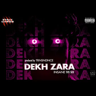 Dekh Zara by Insane