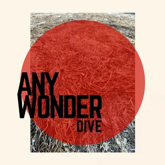 Dive by Any Wonder