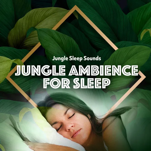 Jungle Sleep Sounds