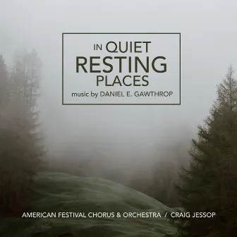 Daniel E. Gawthrop: In Quiet Resting Places by Daniel E. Gawthrop