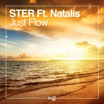 Just Flow by S.T:E.R