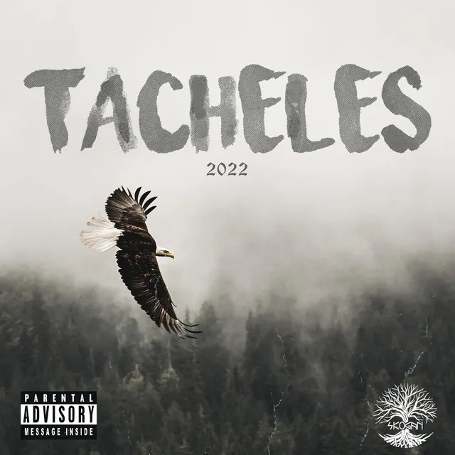 Tacheles 2022