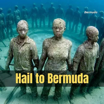 Hail to Bermuda by BERMUDA