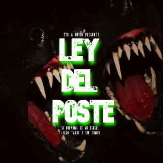 LEY DEL POSTE by Rxbbin Vergxzo