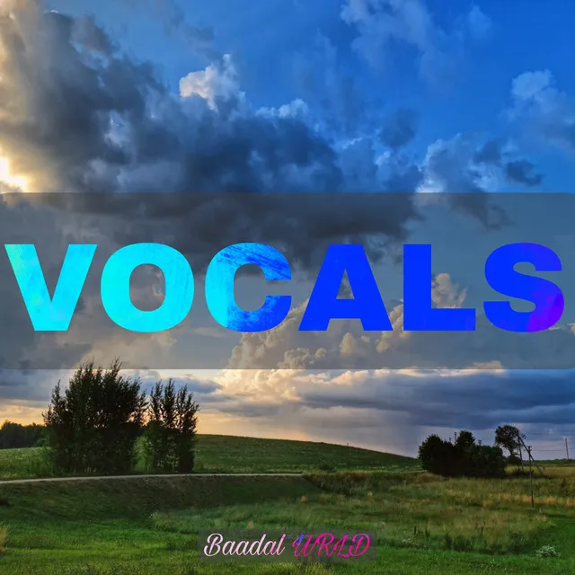 Vocals