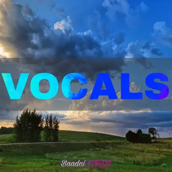 Vocals by BAADAL