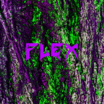 FLEX by MP