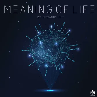 Meaning Of Life by Organic Life