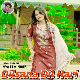 Dilsana Dil Hari by Waseem Noor