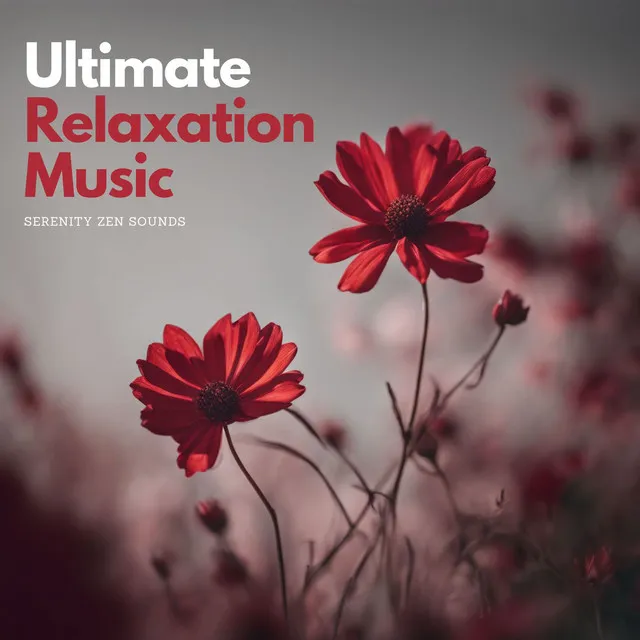 Ultimate Relaxation Music: Ambient Aura and Serenity Zen Sounds for Inner Balance