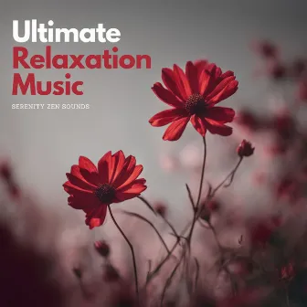 Ultimate Relaxation Music: Ambient Aura and Serenity Zen Sounds for Inner Balance by Backstage Expectations