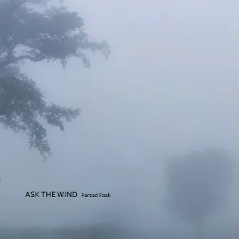 Ask The Wind by Farzad Fazli