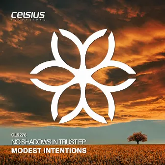 No Shadows In Trust EP by Modest Intentions