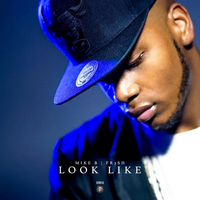 Look Like (feat. Fr3sh)