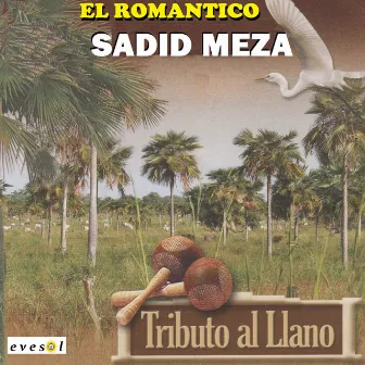 El Romántico Tributo al Llano by Sadid Meza