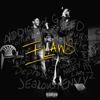 FLAWS by PRICE