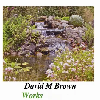 Works by David M. Brown