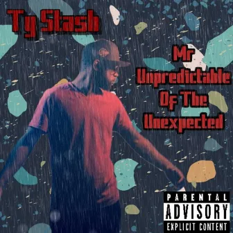 Mr Unpredictable of the Unexpected by Ty Stash