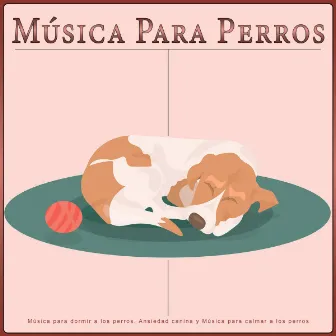 Música Para Perros: Música para dormir a los perros, Ansiedad canina y Música para calmar a los perros by Música Para Perros