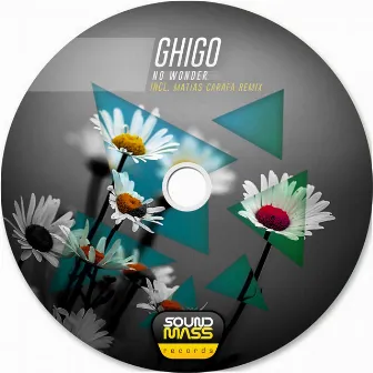 No Wonder by Ghigo