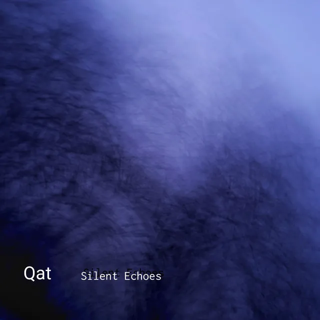 Silent Echoes