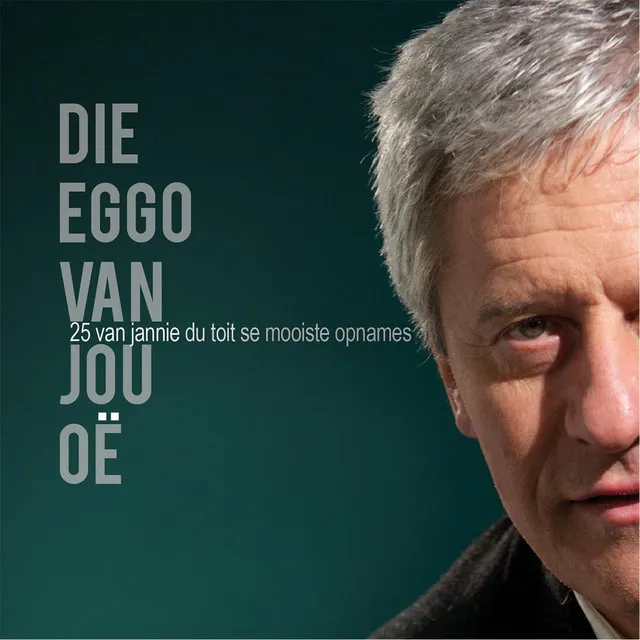 'N Liedjie Vir Jou