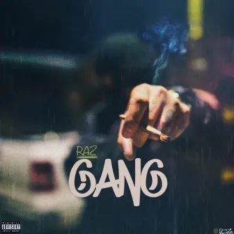 Gang by Raz