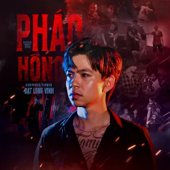 Pháo Hồng by Đạt Long Vinh