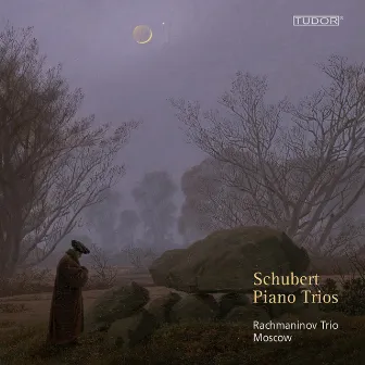 Schubert: Piano Trios by Moscow Rachmaninov Trio