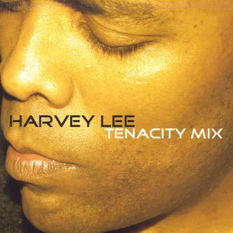 Tenacity Mix by Harvey Lee