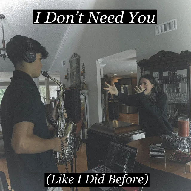 I Don't Need You - Acoustic