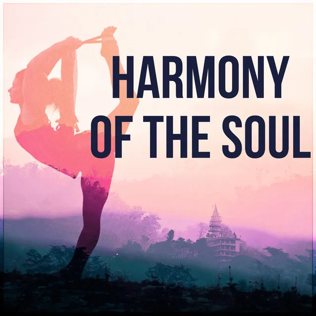 Harmony of the Soul - Soothing Sounds for Massage, Gentle Touch, Calming Music, Music for Reiki & Meditation, Therapeutic Music, Relaxing Instrumental Music