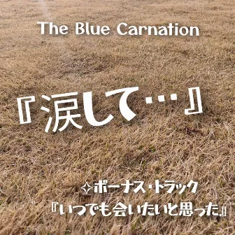 in tears by The Blue Carnation