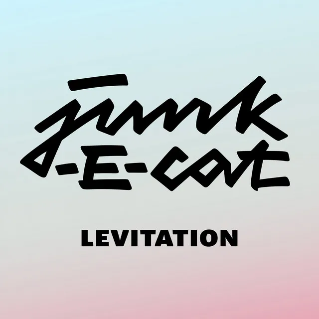 Levitation - Lavid Remix