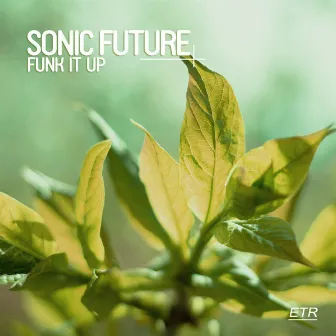 Funk It Up by Sonic Future