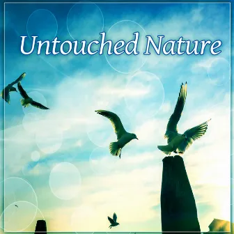 Untouched Nature – Intact, Flawless Flowers, Sunshine by Nature Sounds Collective