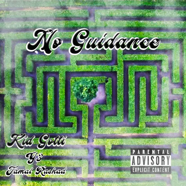 No Guidance