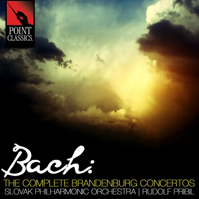 Brandenburg Concerto No. 4 in G Major, BWV 1049: II. Andante