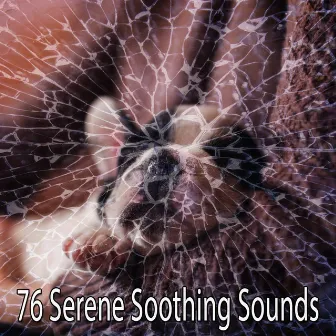 76 Serene Soothing Sounds by Sleepy Sounds