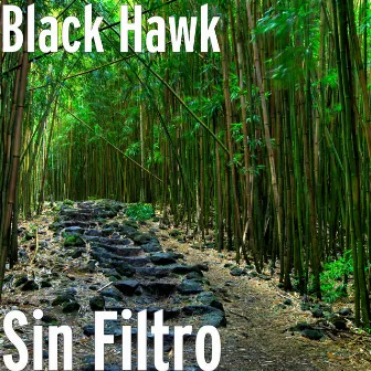 Sin Filtro by Black Hawk