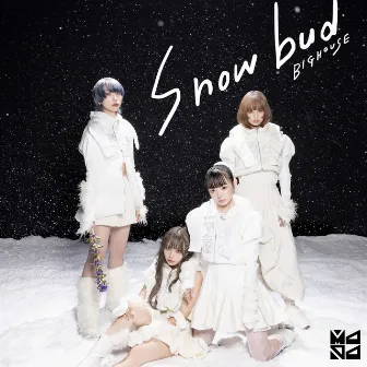 Snowbud/BIGHOUSE by MAPA