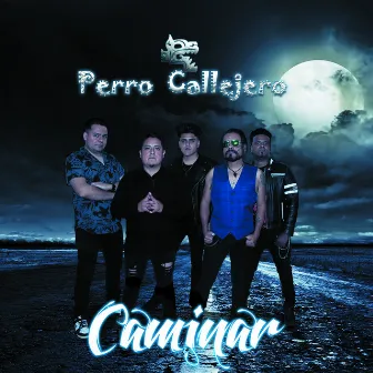 Caminar by Perro Callejero