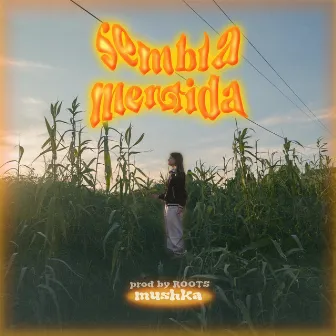 Sembla Mentida by Mushkaa