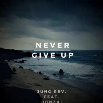 Never Give Up by Jung Rev.