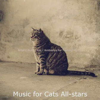 Artistic Guitar Trio - Ambiance for Training My Cat by Music for Cats All-stars