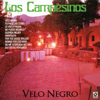 Velo Negro by Los Campesinos