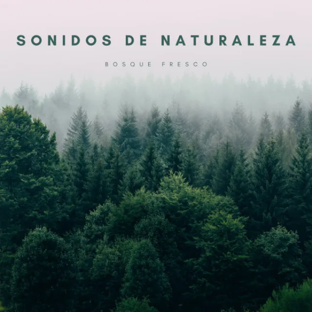 Sonidos De Naturaleza: Bosque Fresco